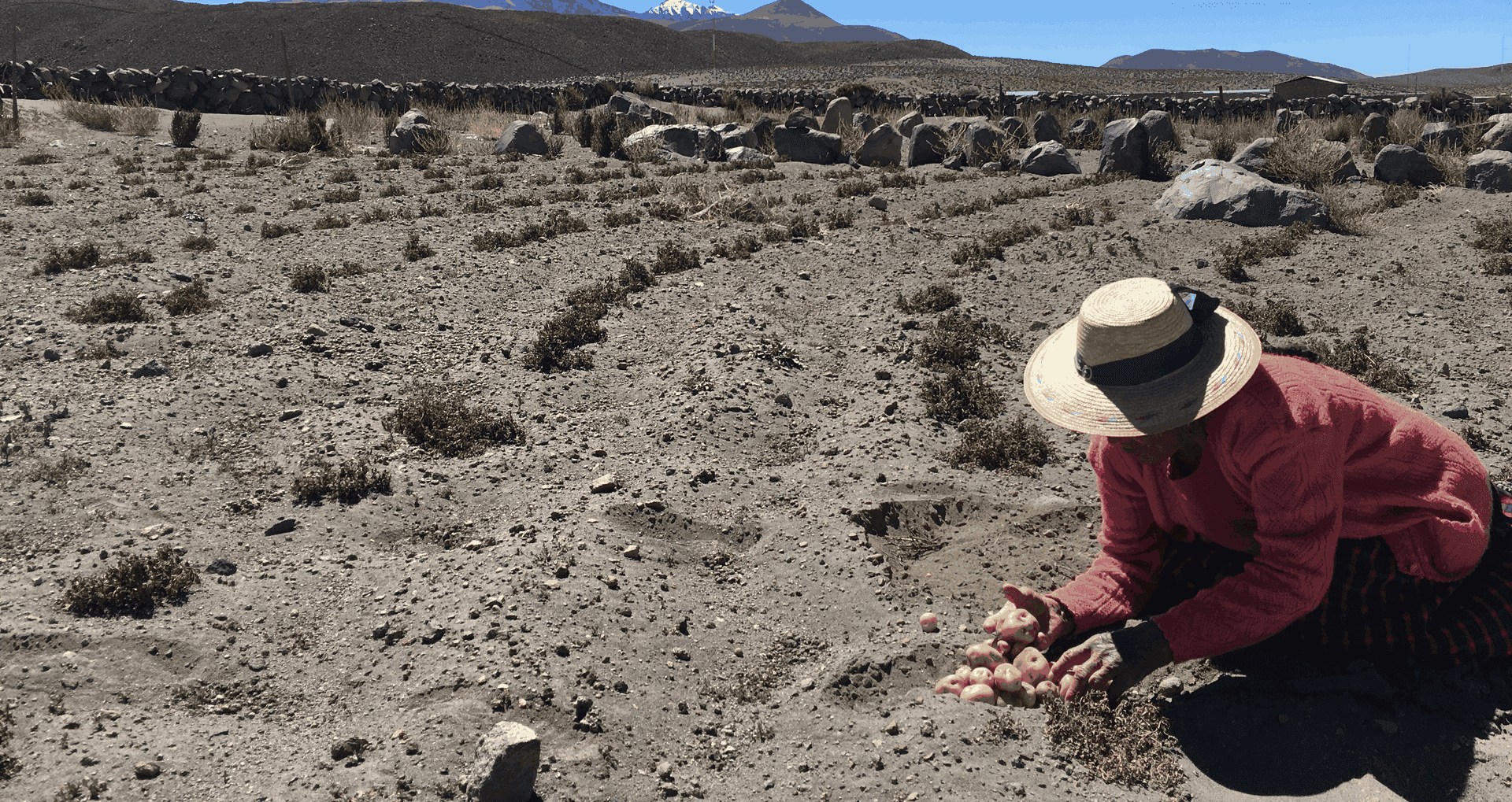 Mientras estemos en el planeta,
somos parte de la madre naturaleza