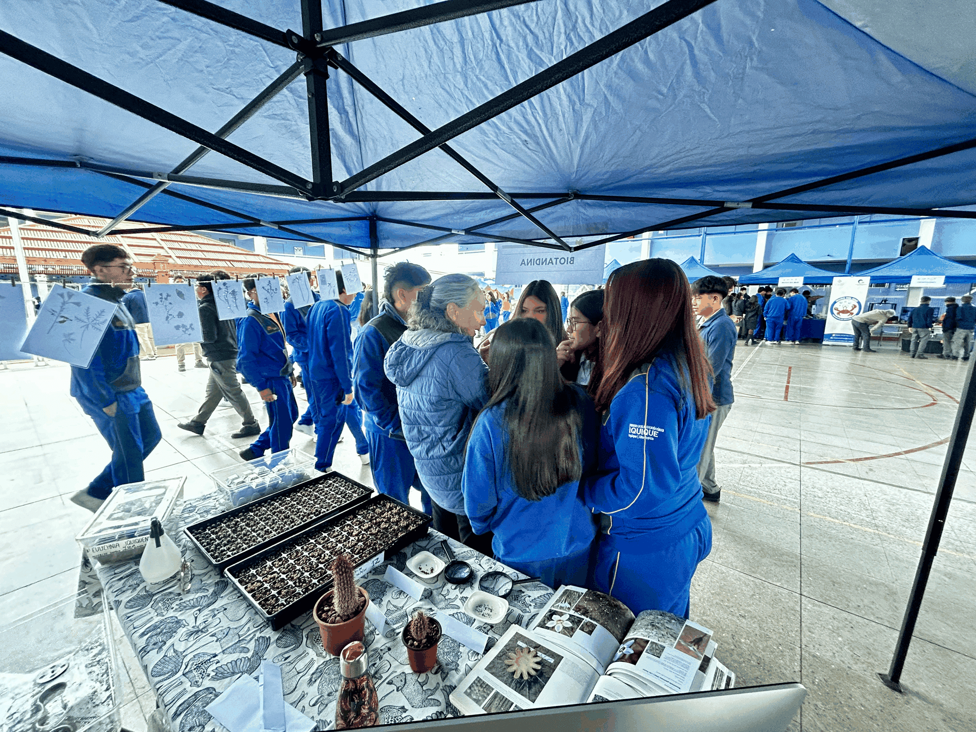 Feria de educación ambiental con la comunidad