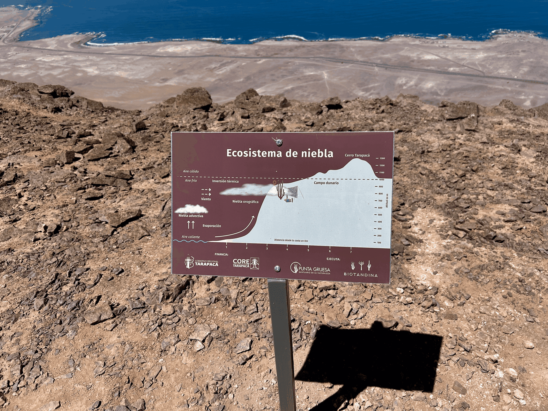 Apoyamos la protección de
nuestros ecosistemas locales