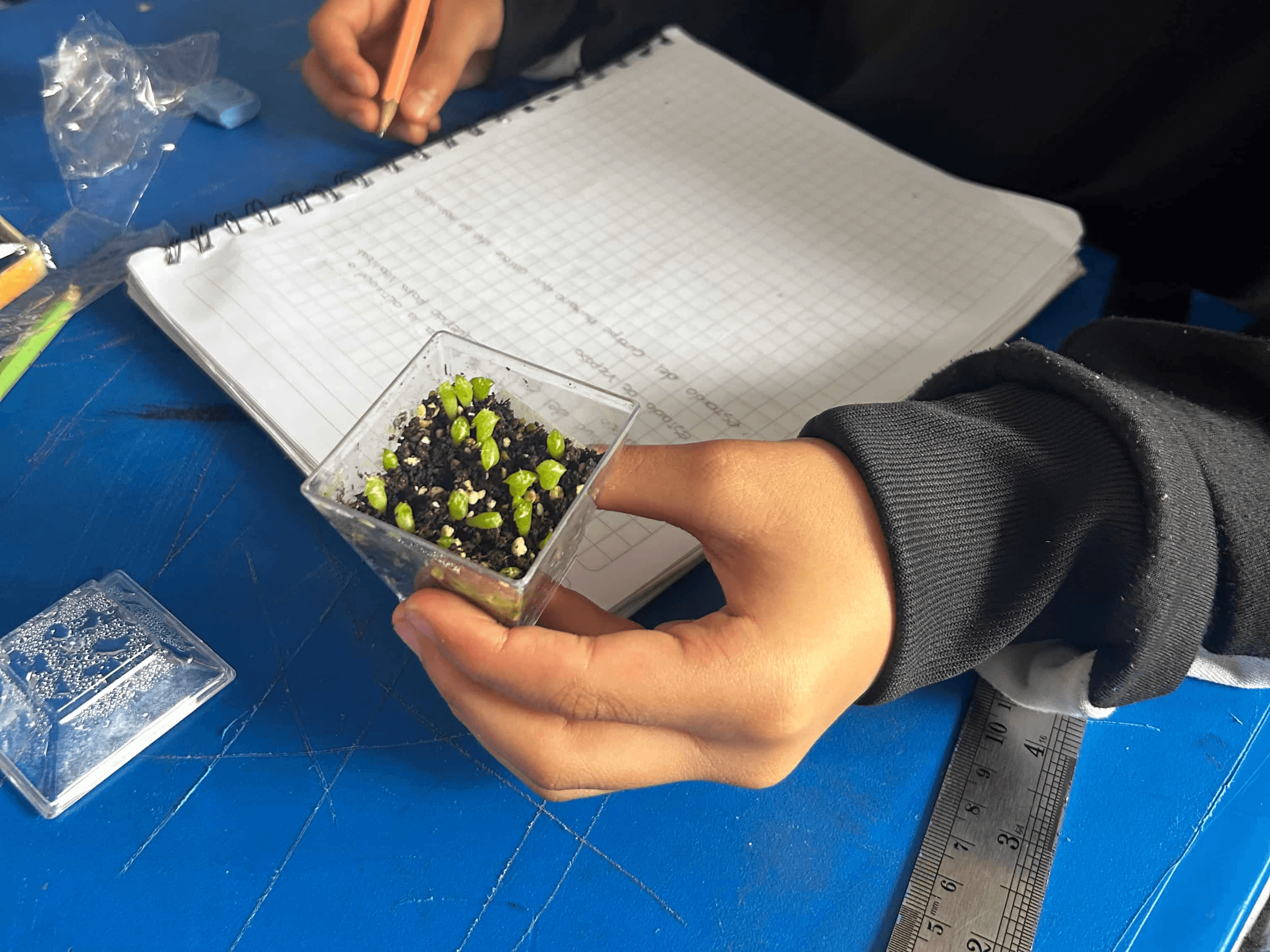 Conocimientos y habilidades
que generan impactos positivos