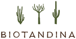 Biotandina