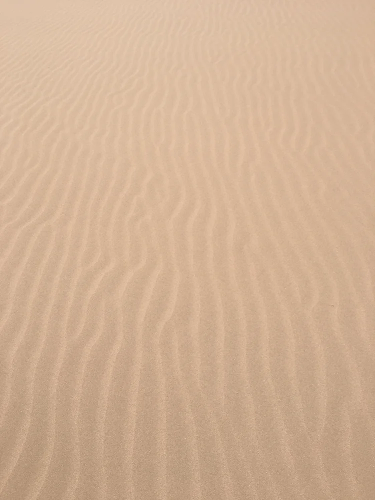 Ondas de arena en una duna