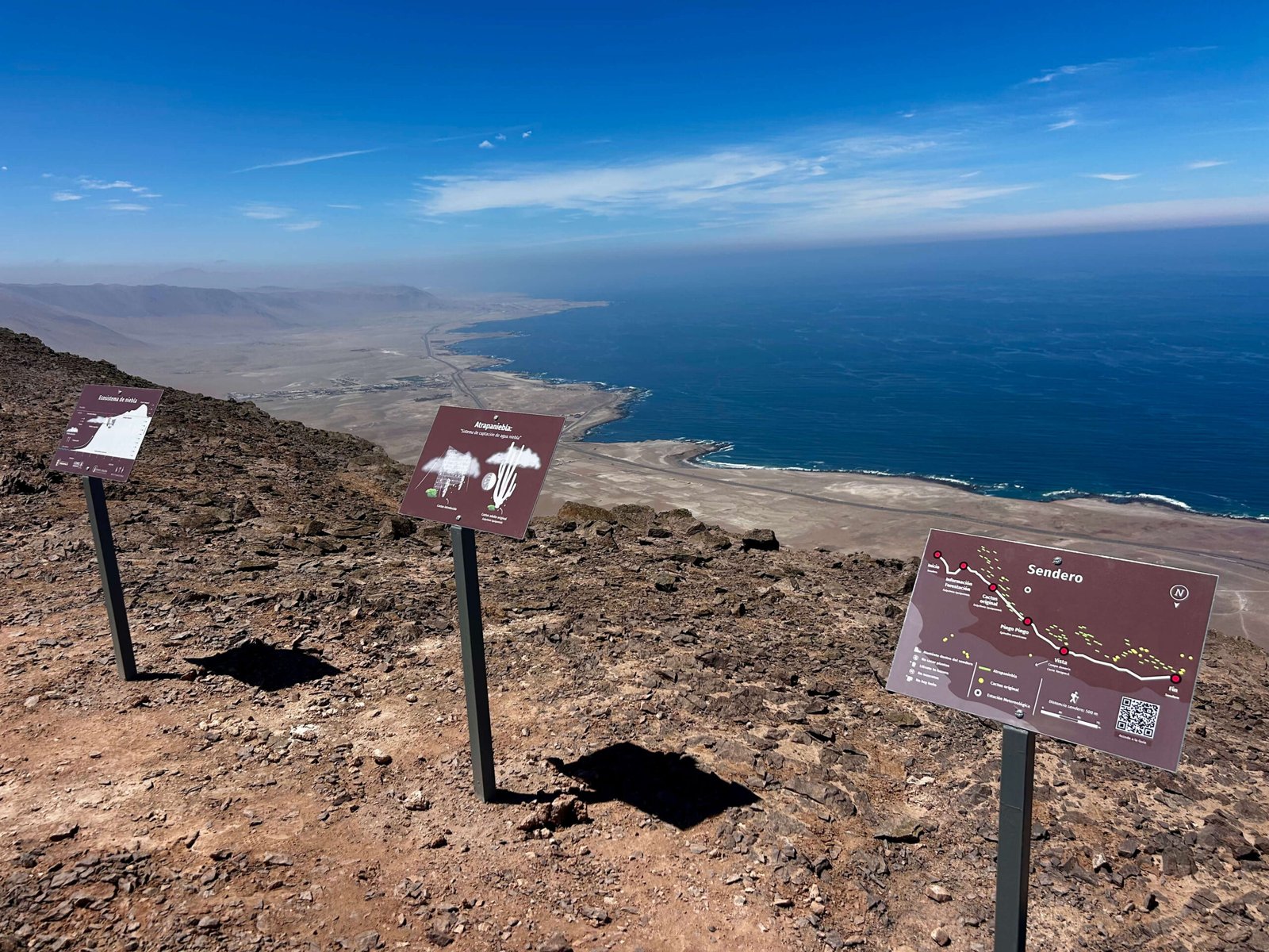 Conservando y visualizando la biodiversidad del Santuario de la Naturaleza Ecosistema de Niebla Punta Gruesa