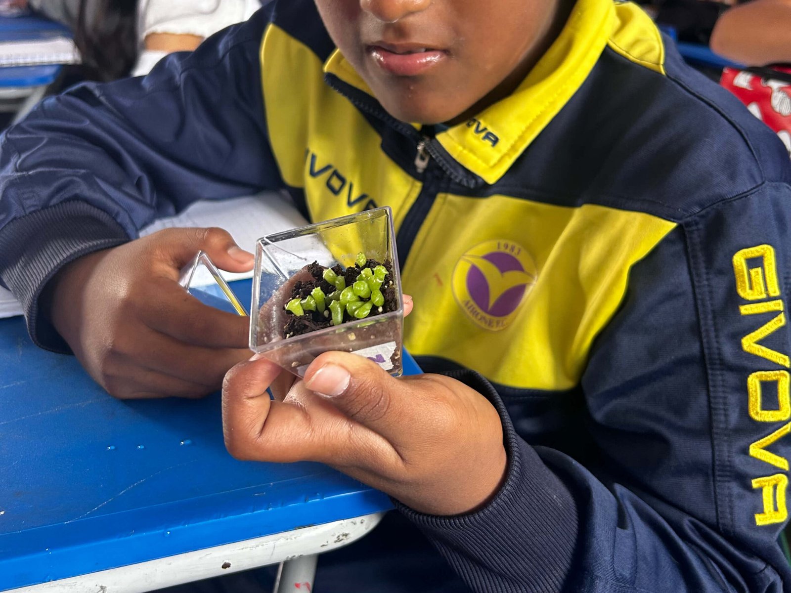 Educación Socioambiental